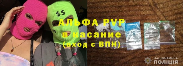 СК Белокуриха