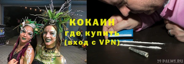 трава Беломорск